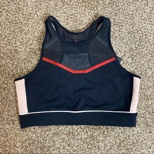 Ivy Park- Colorblock Women’s Sports Bra Large